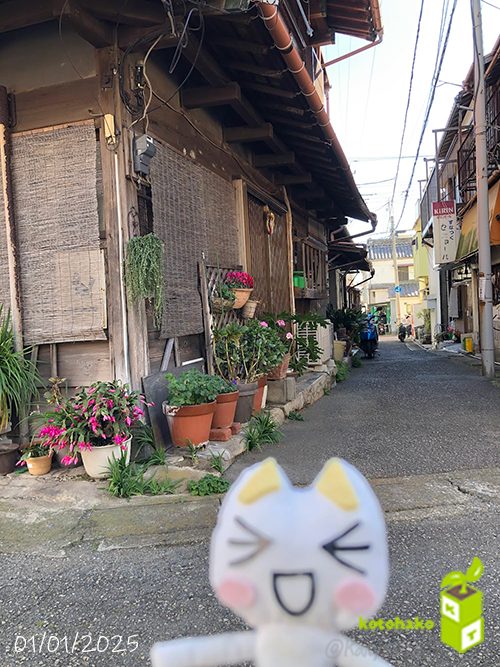 トロと休日_3