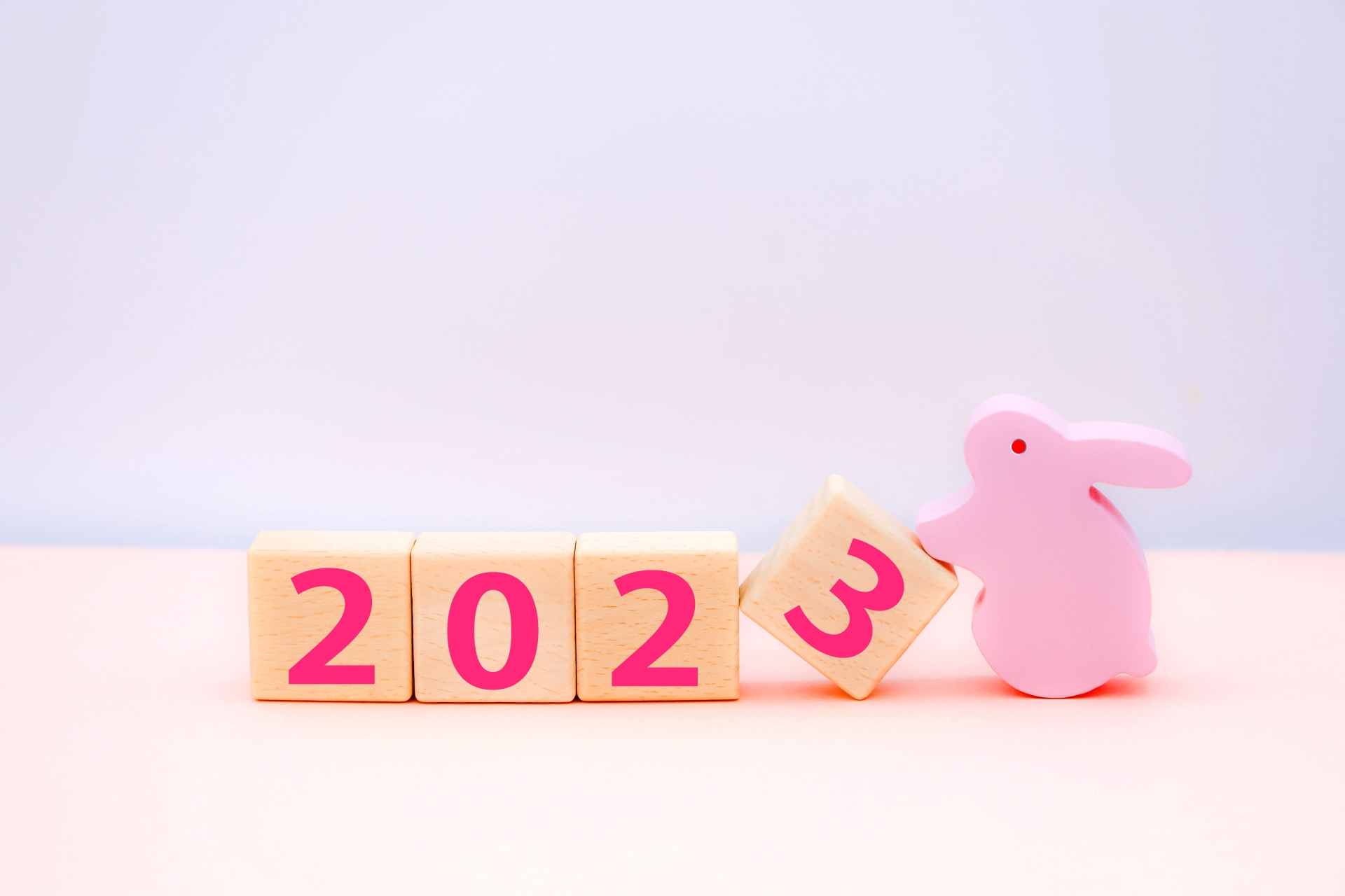 2023年うさぎ年